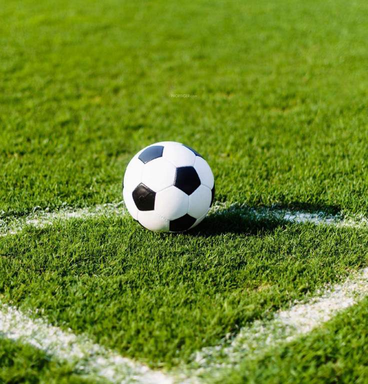  grevillea Football Field