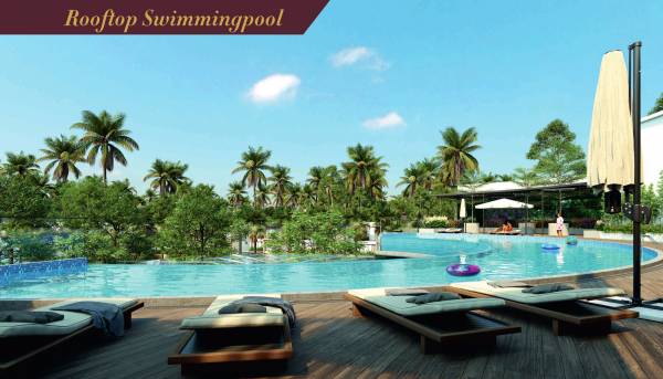  the-patio Swimming Pool