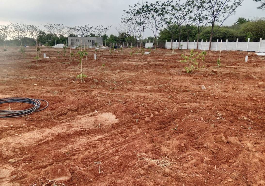  siri vanam Plot
