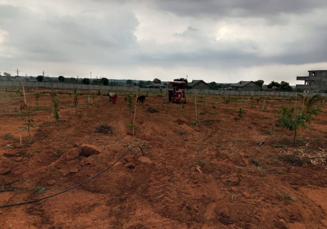  siri vanam Plot