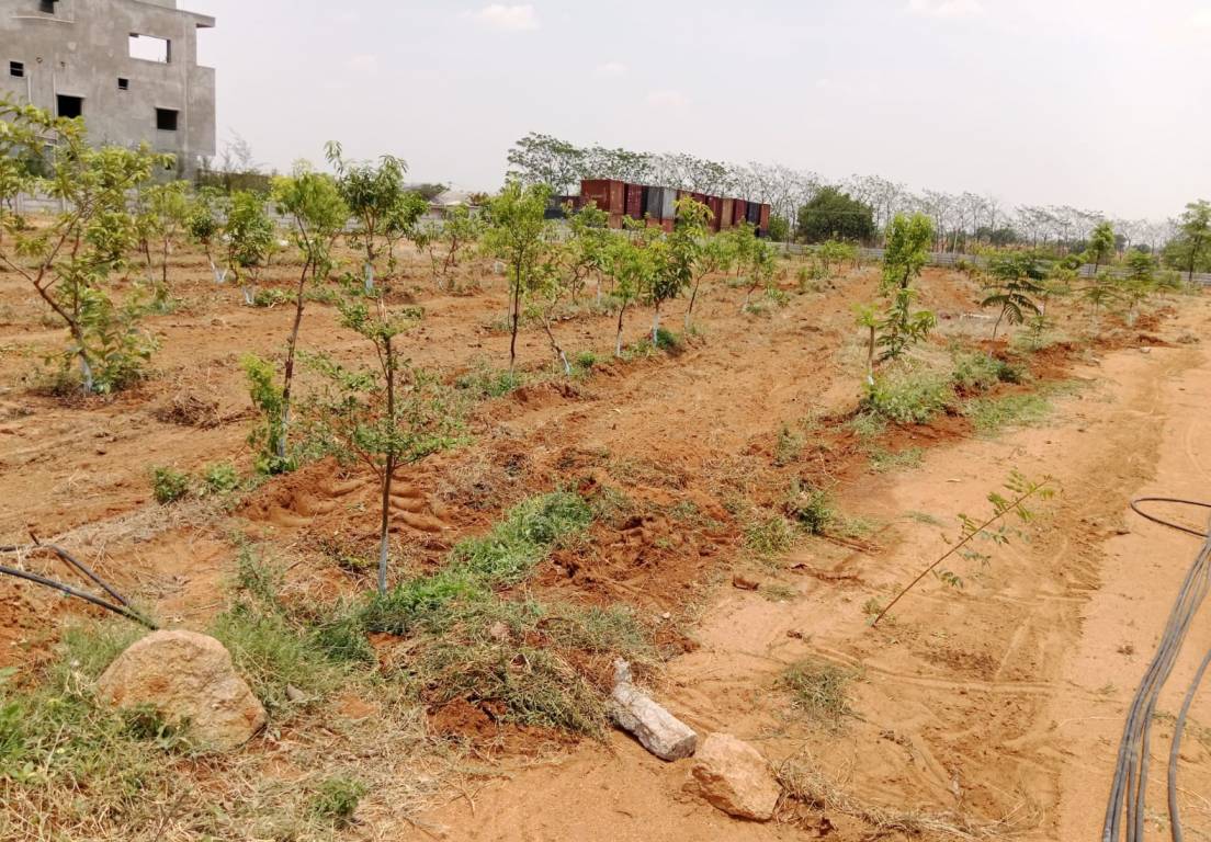  siri vanam Plot