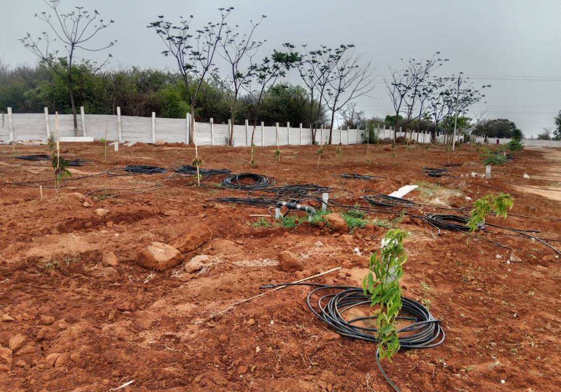  siri vanam Plot