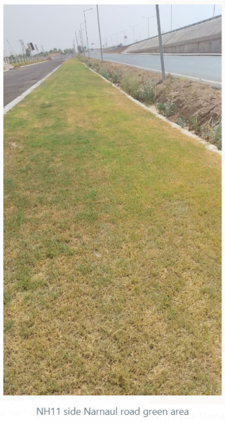 amenities of Pyramid Emerald Estate