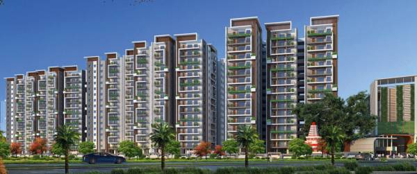  green-grace-rose Elevation