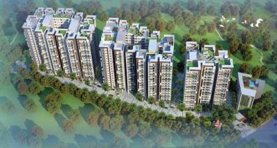  green-grace-rose Elevation