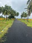 Plot sri-thirumalai-nagar Plot