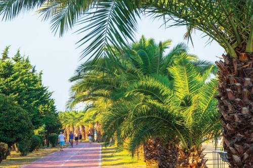  calista-heights Jogging Track