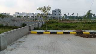 Project Image Project Image