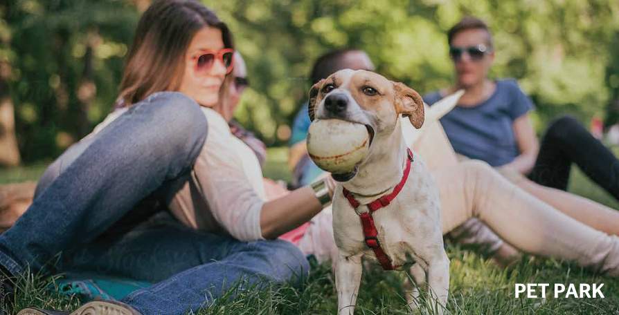 canvas & cove phase 1 wing a & b Pet Grooming