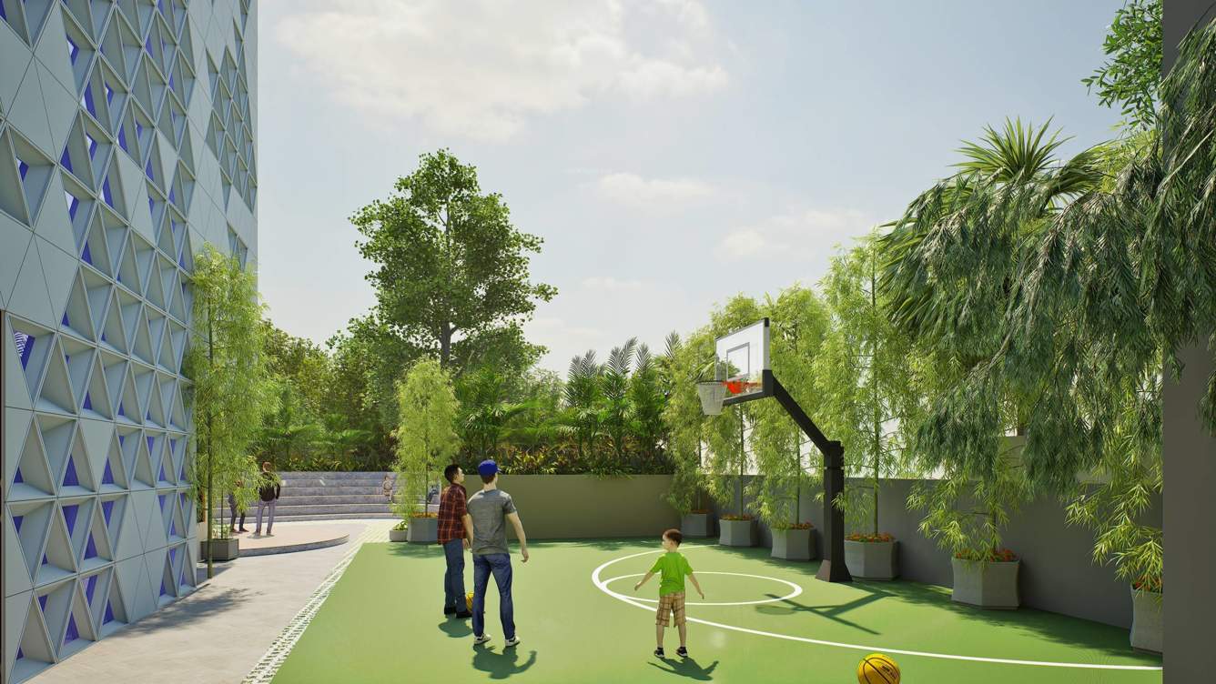  natures harmony Basketball Court