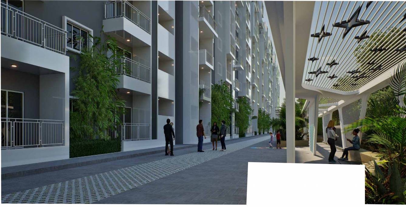  natures harmony Others