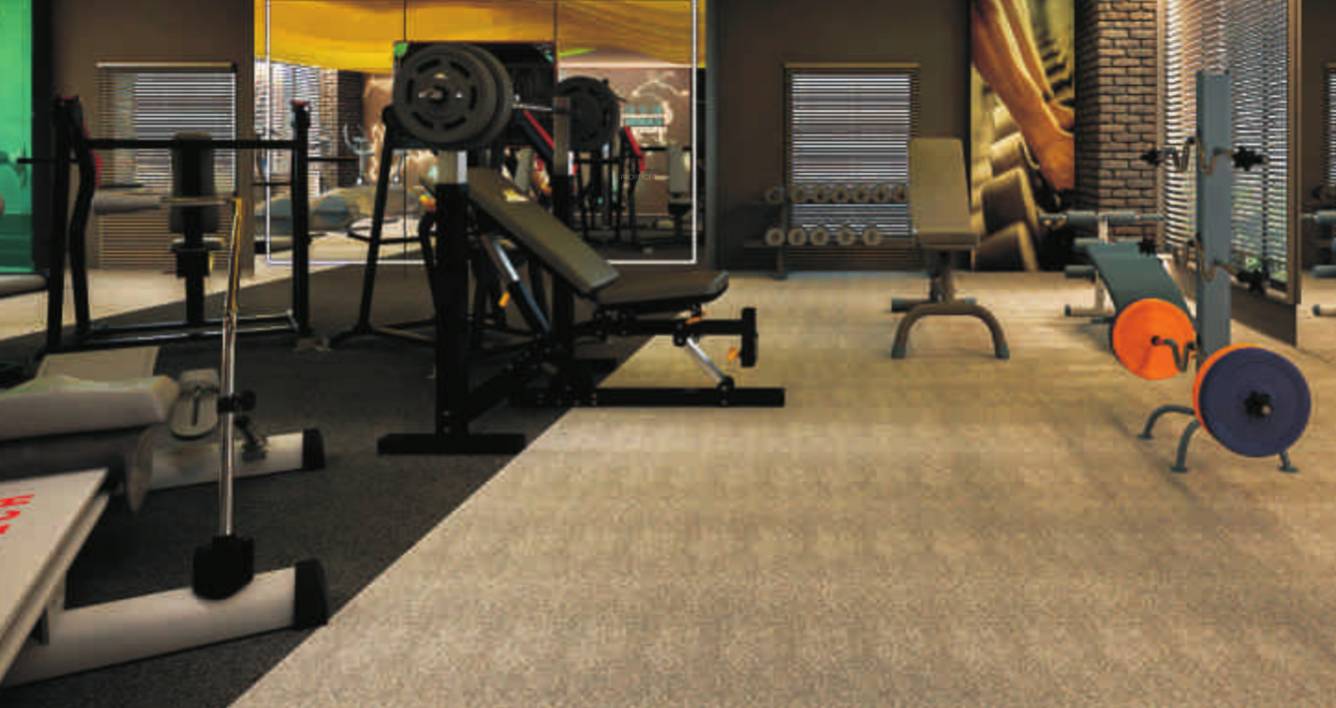  paccific phase 1 Gymnasium