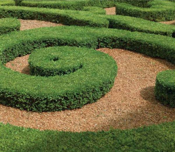  enigma-phase-1 Landscaped Gardens