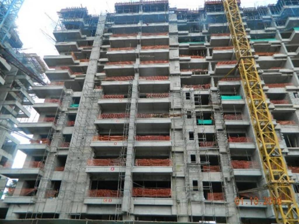  blossom Construction Status Dec 24