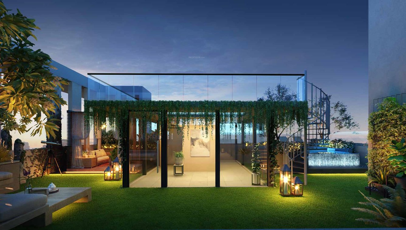  tarun nagar phase 5 block e Landscape Garden and Tree Planting