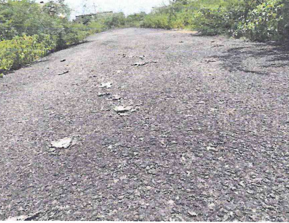  kanopus-a Internal Roads & Footpaths