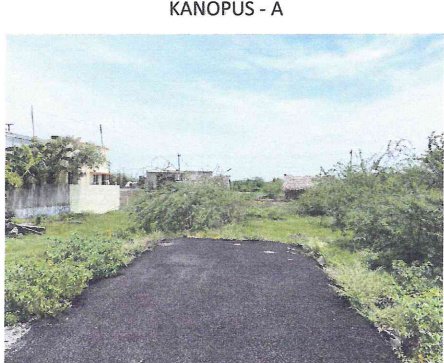  kanopus a Plot