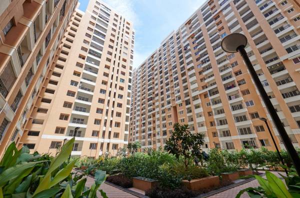  greens-phase-1 Elevation