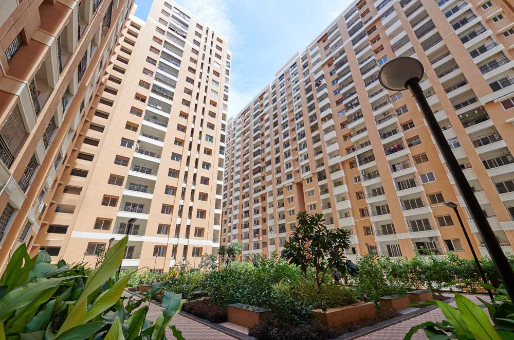  greens phase 1 Elevation