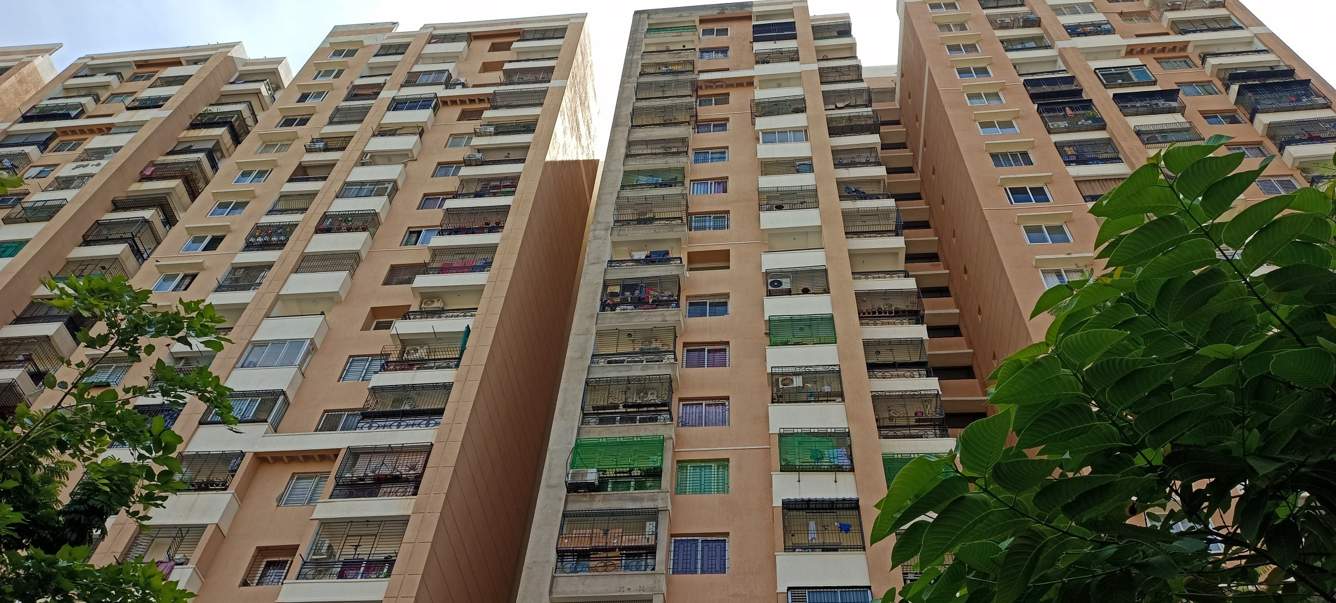  greens phase 1 Elevation