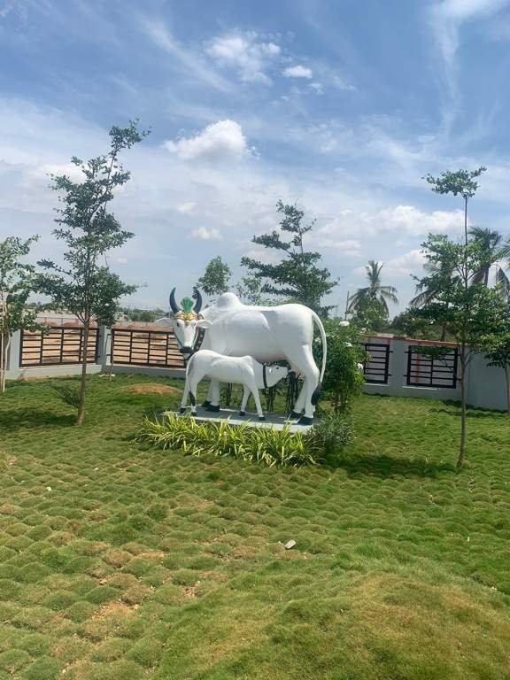 rv opal Landscape Garden and Tree Planting