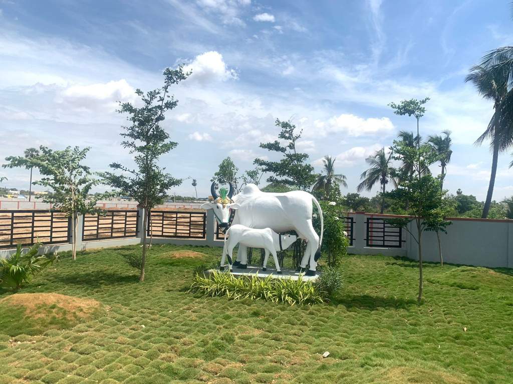 rv opal Landscape Garden and Tree Planting