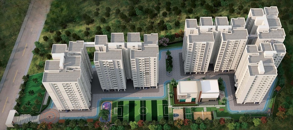  codename bloom Elevation