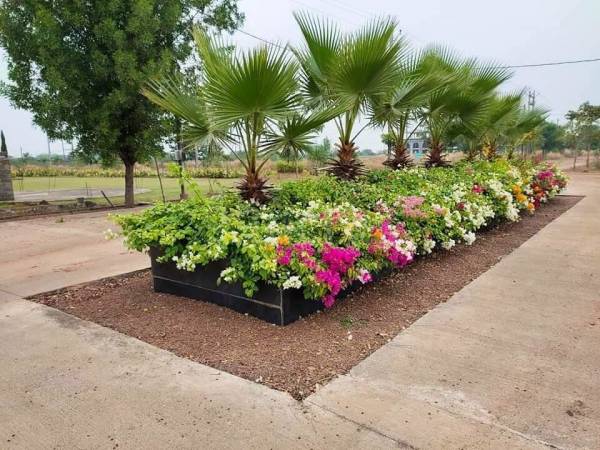  chintamani-ganesh-vatika Others