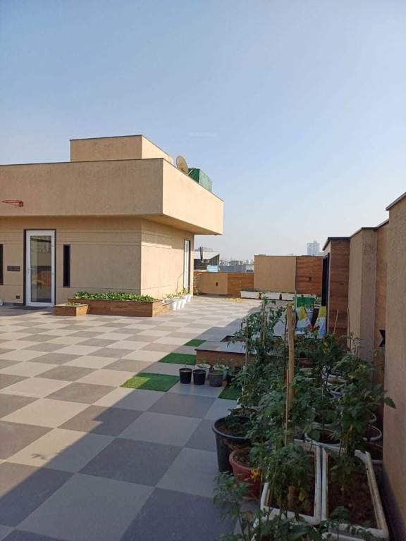  malibu town floors Table Tennis