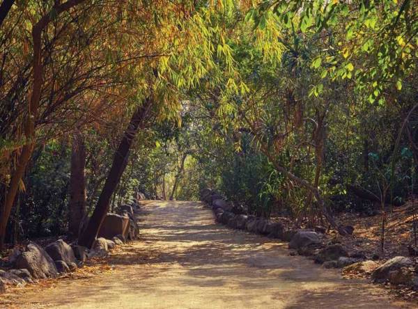  pearl-providence Others