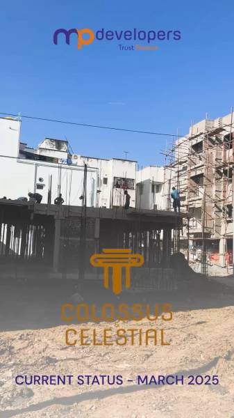  colossus-and-celestial Colossus and Celestial Construction Status March-25