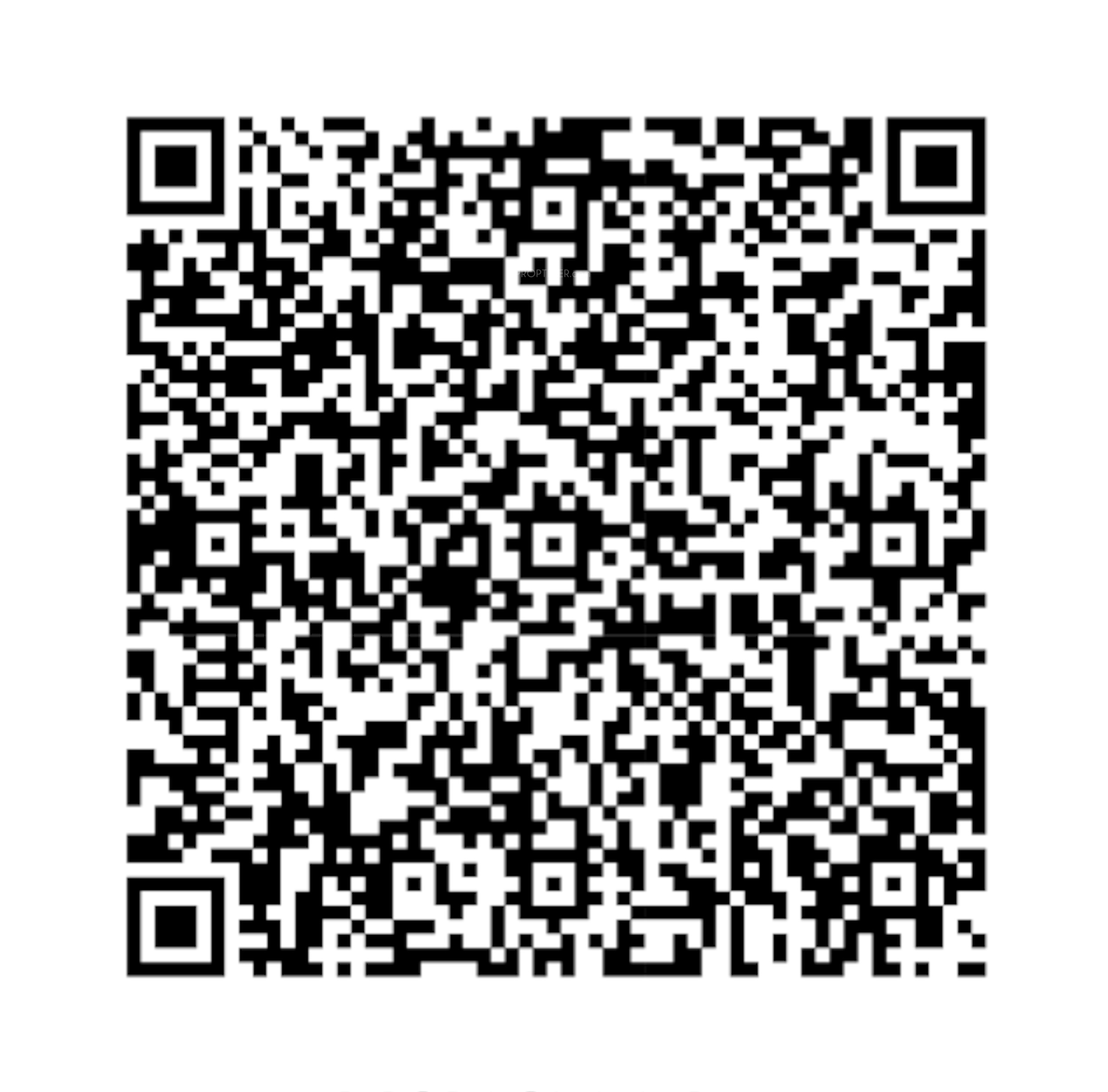 QR Image