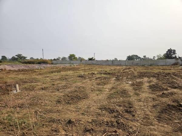  golden-residency Plot