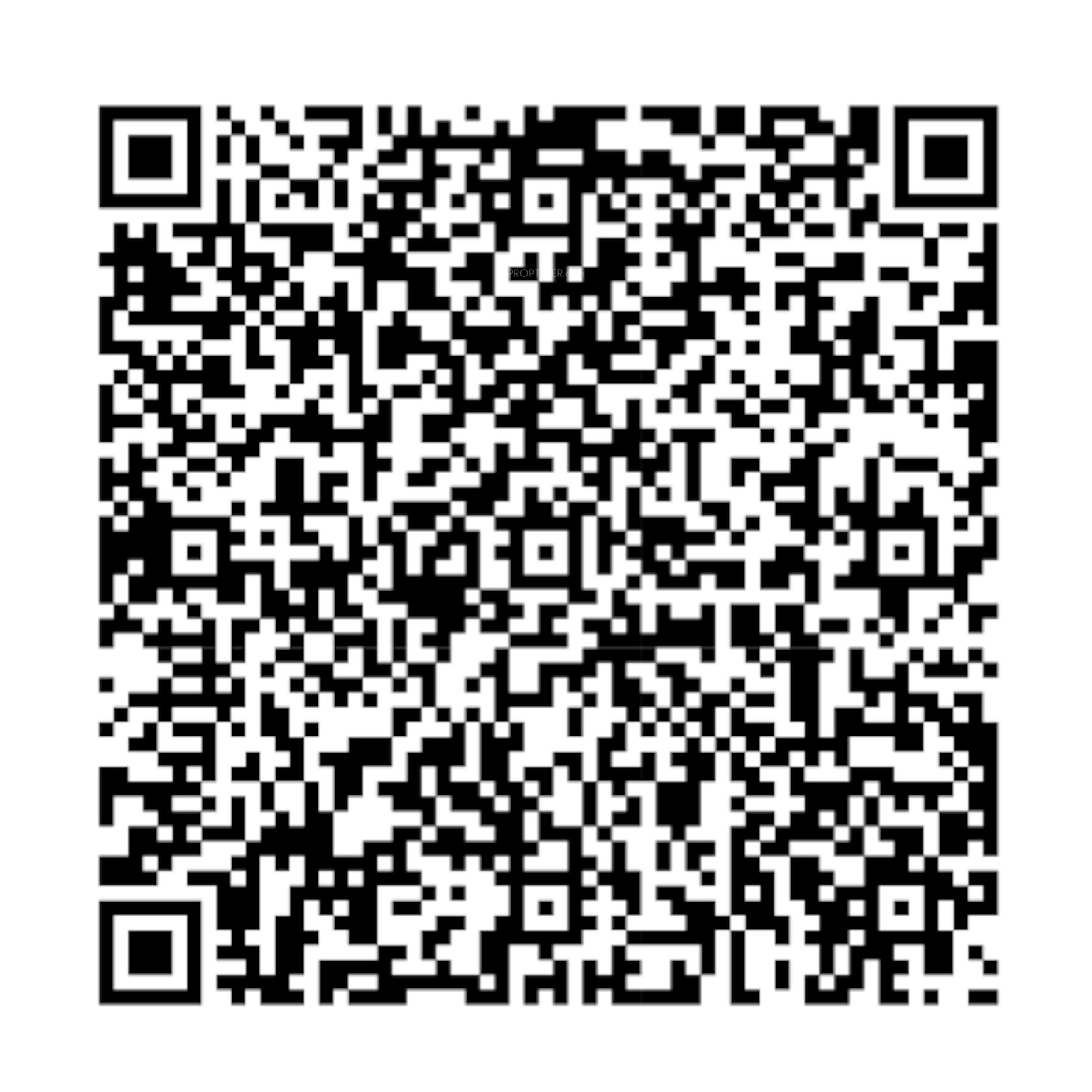 QR Image