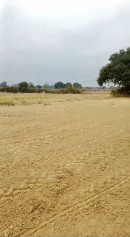 the rakhi farm house Elevation