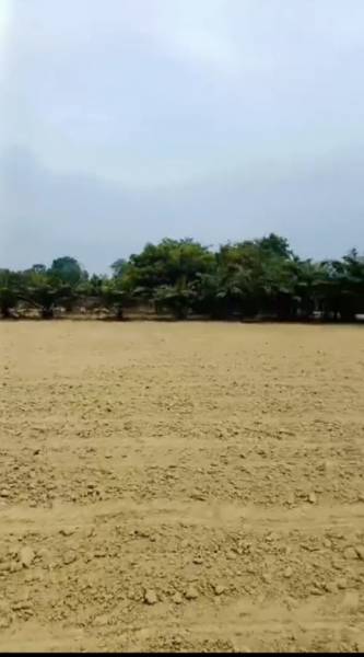  the-rakhi-farm-house Elevation