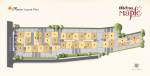  meena-maple-phase-2 Layout Plan