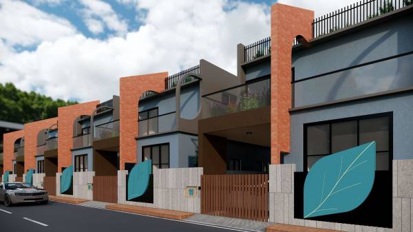  blue-leaf-gardenia Elevation