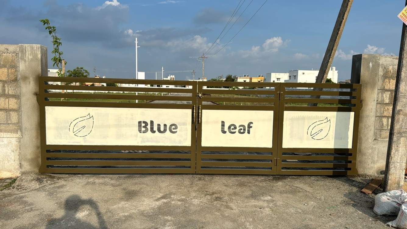  blue leaf gardenia Gated Community