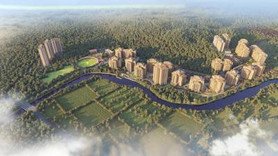  songbirds-phase-f Elevation