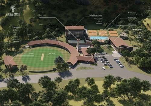 Others songbirds-phase-f Others