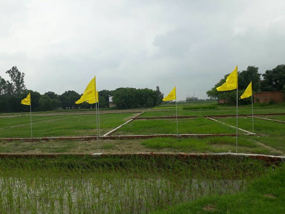  dev saundaryam Plot