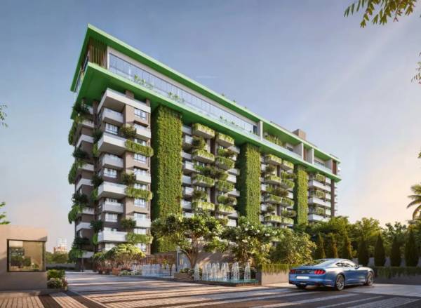 Elevation panache Elevation