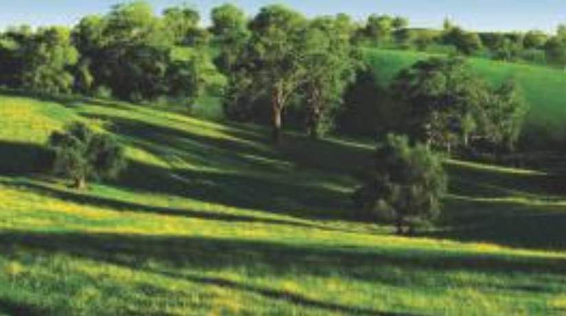  akashparv c Landscape Garden and Tree Planting