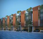 Elevation  tropicalwoods Elevation