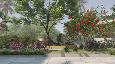  tropicalwoods Others