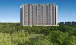 Elevation  euphoria-phase-5 Elevation