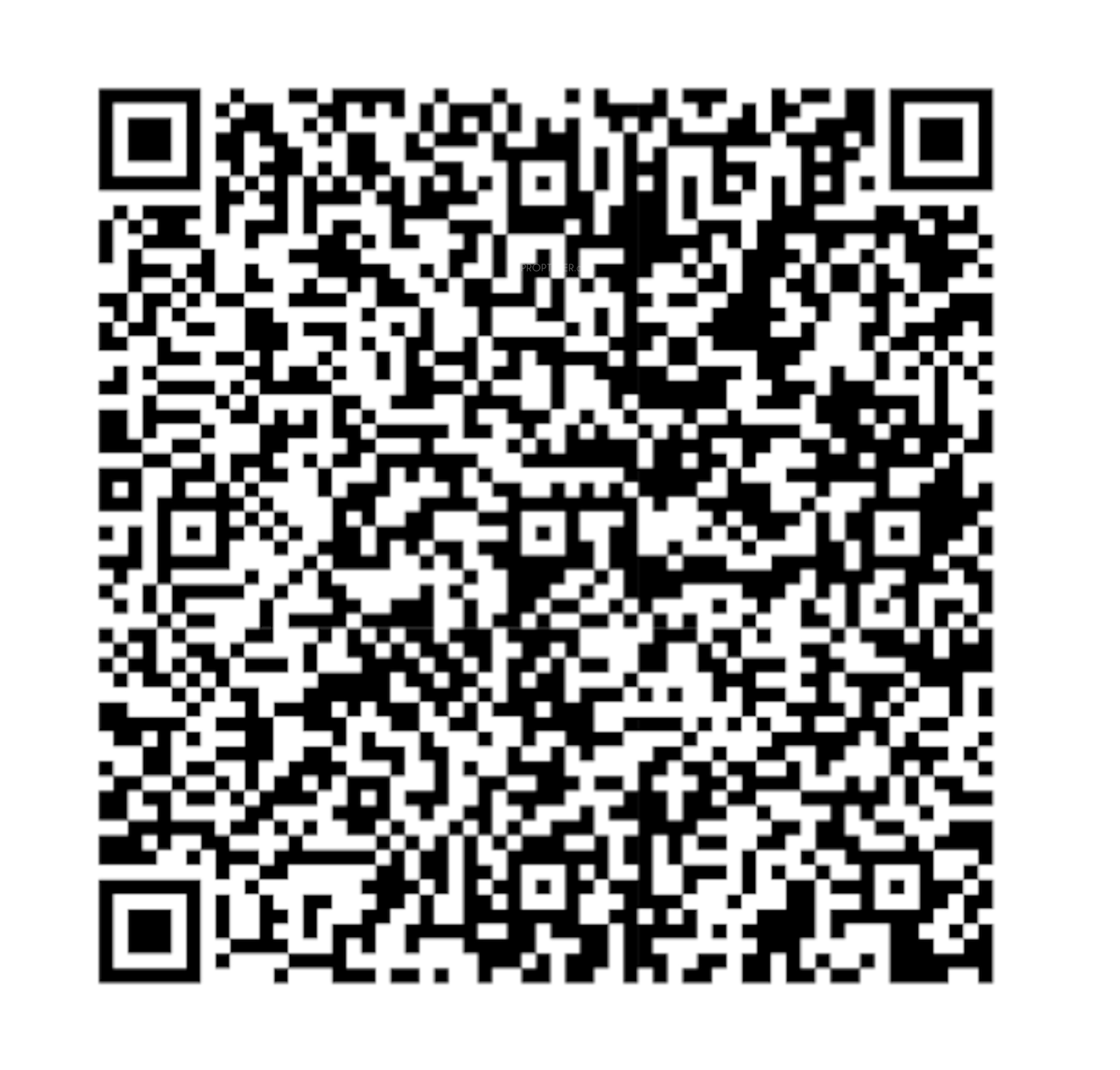 QR Image