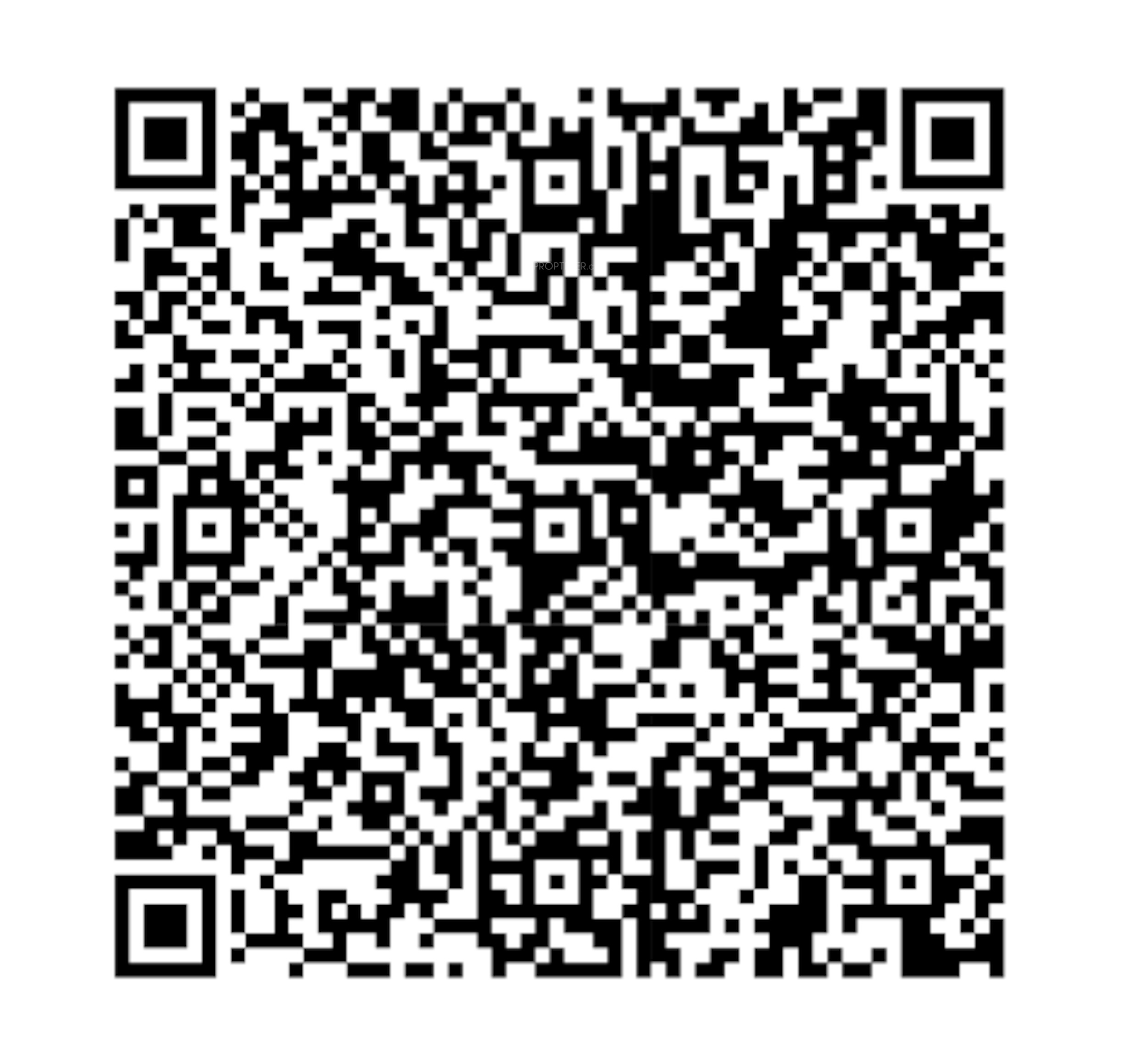 QR Image