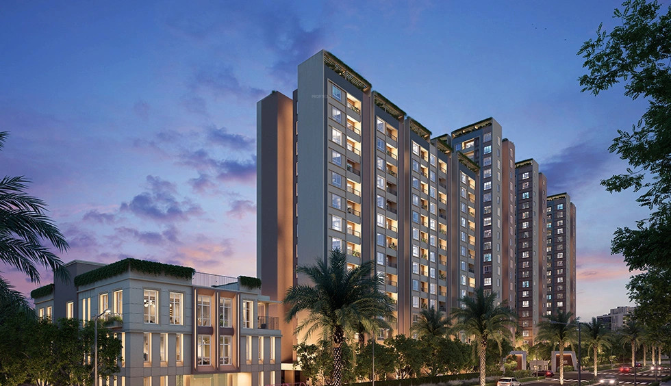  spring tide Elevation